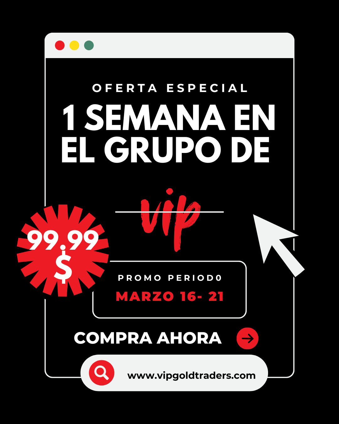🎯 VIP SIÑAL CHICAS - 1 MES🎯